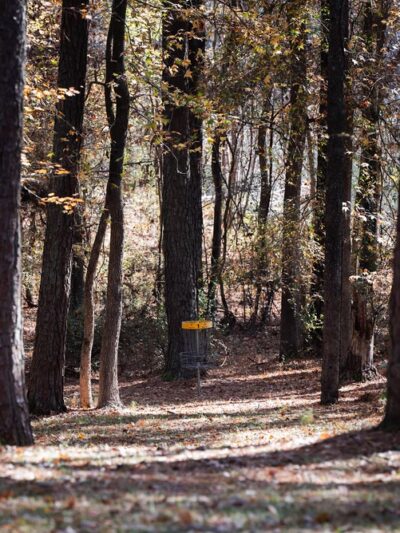 Chester State Park Disc Golf Course - Chester, SC