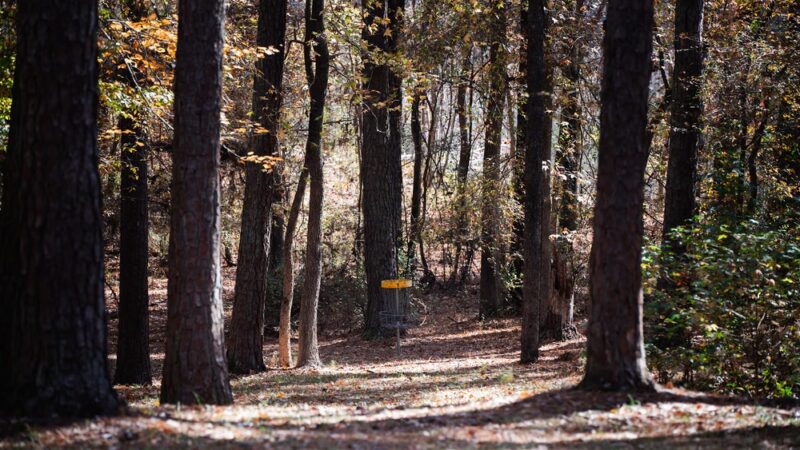 Chester State Park Disc Golf Course - Chester, SC