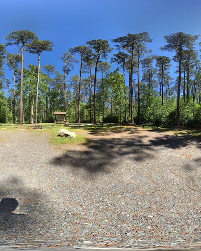 Chester State Park Disc Golf Course - Chester, SC