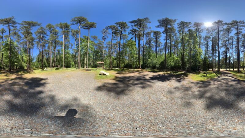 Chester State Park Disc Golf Course - Chester, SC