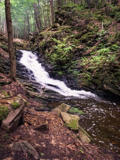 Chesterfield Gorge Natural Area - Chesterfield, NH