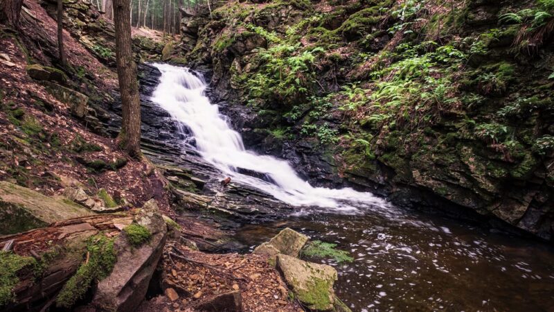 Chesterfield Gorge Natural Area - Chesterfield, NH