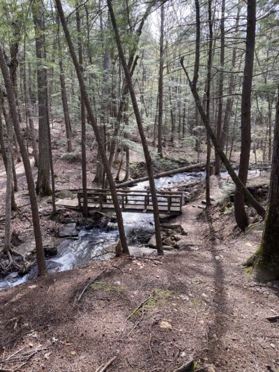 Chesterfield Gorge Natural Area - Chesterfield, NH