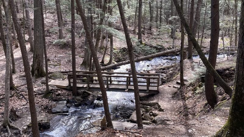 Chesterfield Gorge Natural Area - Chesterfield, NH
