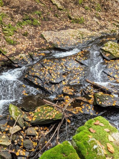 Chesterfield Gorge Natural Area - Chesterfield, NH