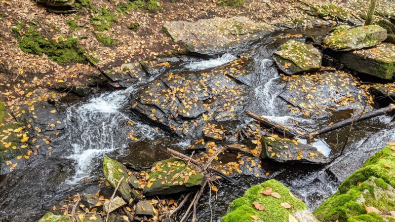 Chesterfield Gorge Natural Area - Chesterfield, NH