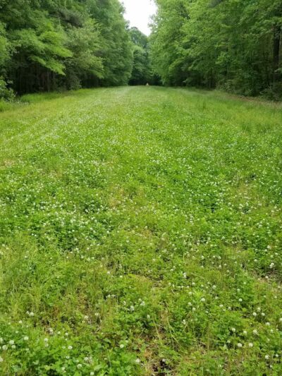 Appomattox Game Club Preserve - Chesterfield, VA