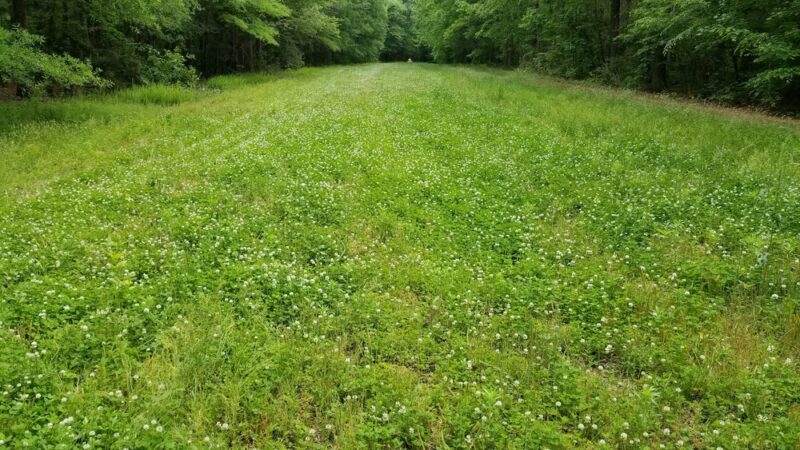 Appomattox Game Club Preserve - Chesterfield, VA