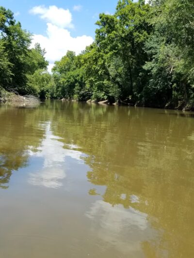 Appomattox Game Club Preserve - Chesterfield, VA