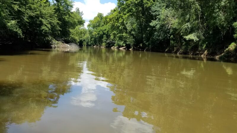 Appomattox Game Club Preserve - Chesterfield, VA