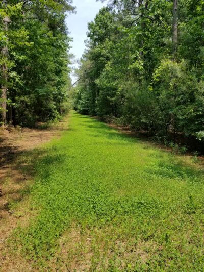 Appomattox Game Club Preserve - Chesterfield, VA