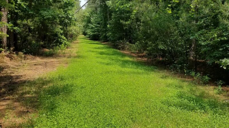 Appomattox Game Club Preserve - Chesterfield, VA