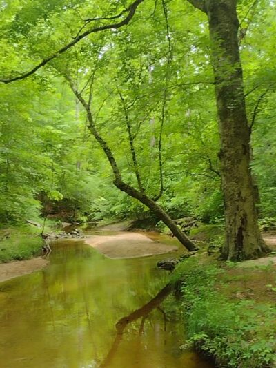 Beaver Lake Trail - Chesterfield, VA