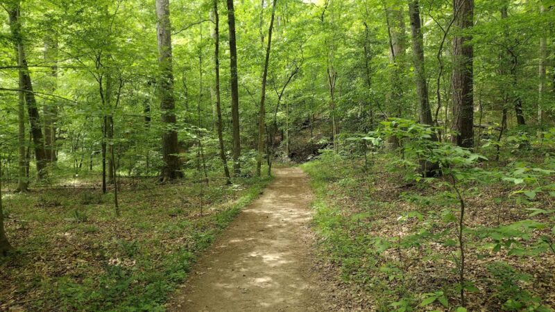 Beaver Lake Trail - Chesterfield, VA