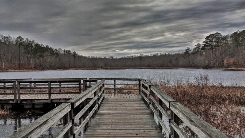 Pocahontas State Park - Chesterfield, VA