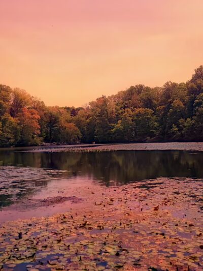 Pocahontas State Park - Chesterfield, VA