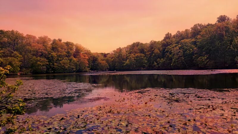 Pocahontas State Park - Chesterfield, VA
