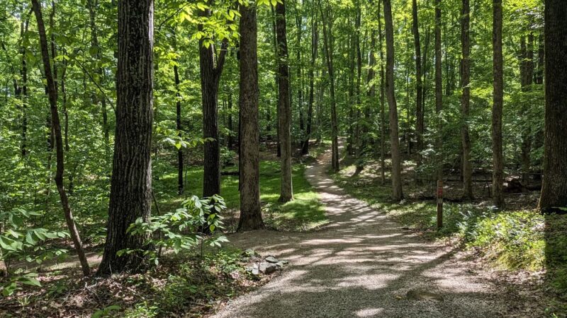 Pocahontas State Park - Chesterfield, VA