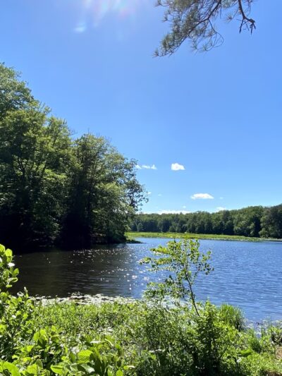 Pocahontas State Park - Chesterfield, VA