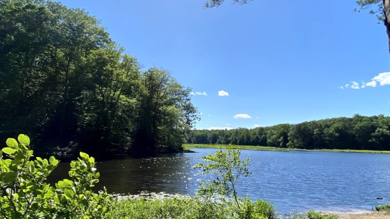 Pocahontas State Park - Chesterfield, VA