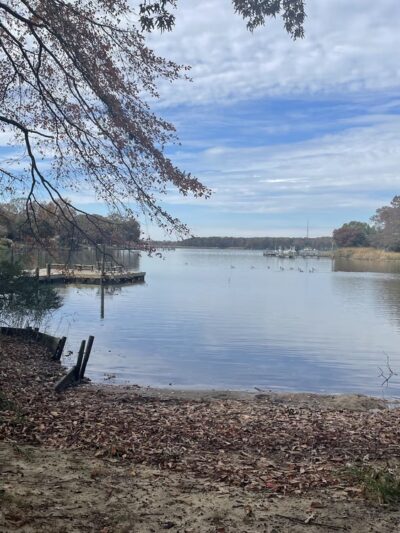 Fairview Park - Chestertown, MD