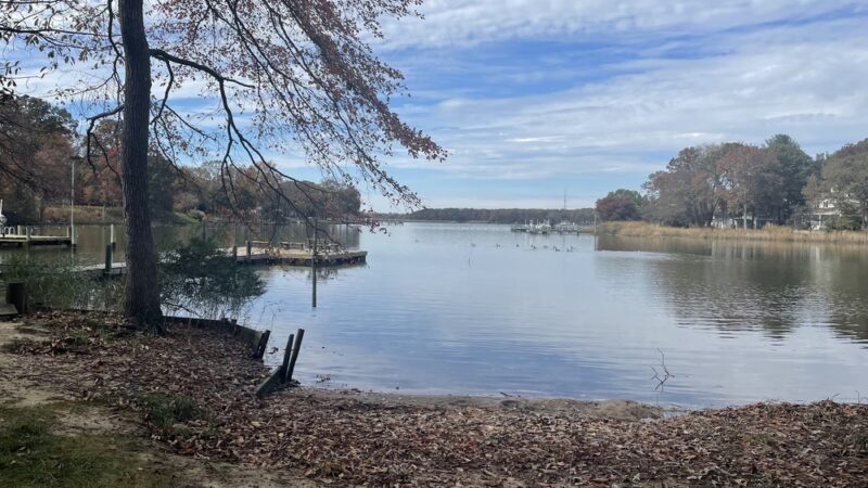 Fairview Park - Chestertown, MD