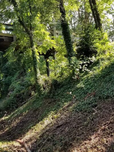 Wayne Gilchrest Trail (Chestertown Rail Trail) - North End - Chestertown, MD