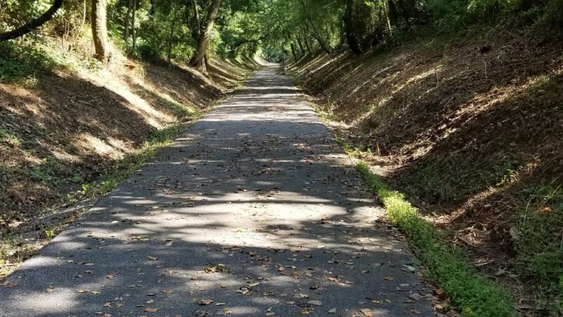 Wayne Gilchrest Trail (Chestertown Rail Trail) - North End - Chestertown, MD