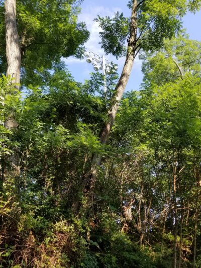 Wayne Gilchrest Trail (Chestertown Rail Trail) - North End - Chestertown, MD