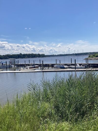 Wilmer Park - Chestertown, MD