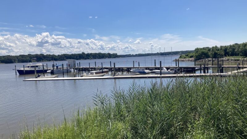 Wilmer Park - Chestertown, MD