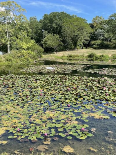 Children's Park - Chestnut Ridge, NY