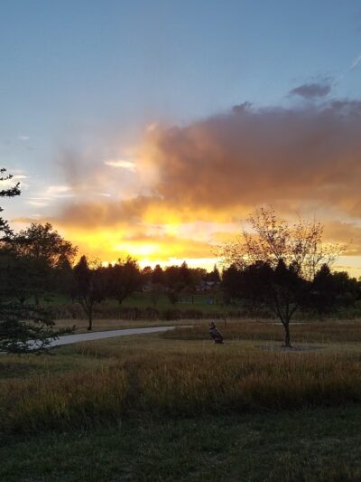 Cheyenne - Parks Division - Cheyenne, WY