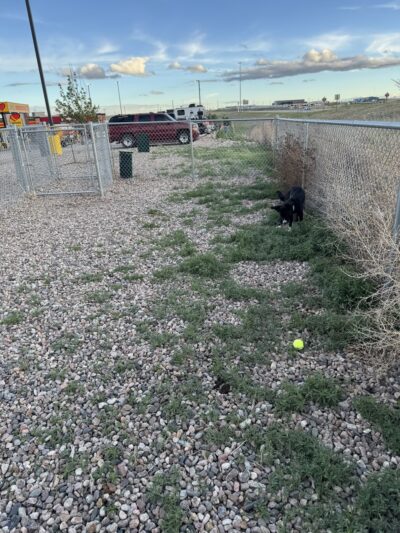 Dog Park at Love’s Travel Stops - Cheyenne, WY