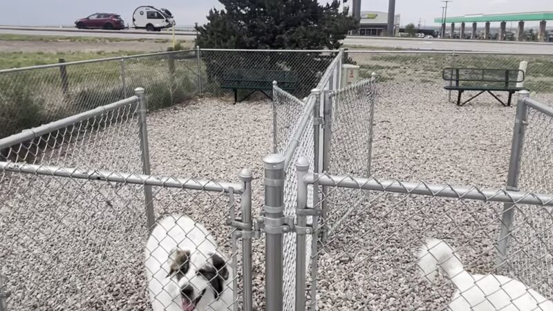 Dog Park at Love’s Travel Stops - Cheyenne, WY