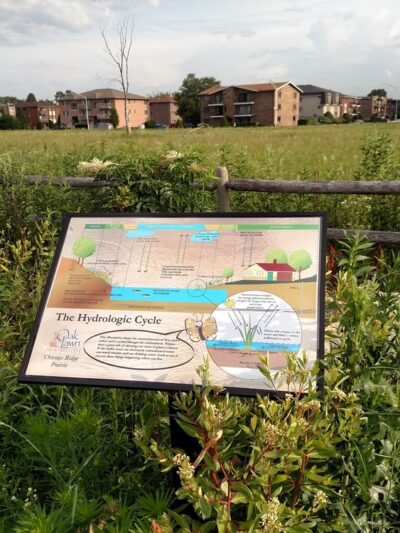 Chicago Ridge Prairie Walk - Chicago Ridge, IL