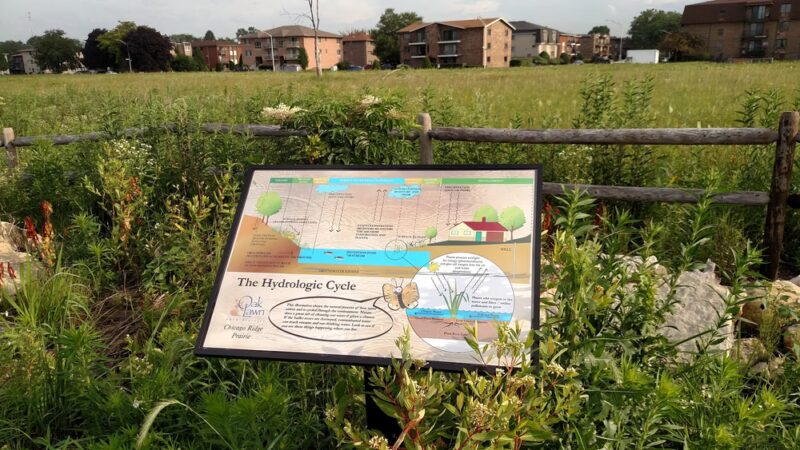 Chicago Ridge Prairie Walk - Chicago Ridge, IL