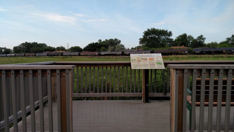 Chicago Ridge Prairie Walk - Chicago Ridge, IL