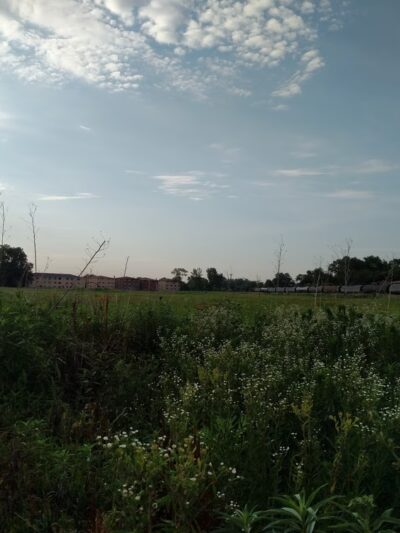 Chicago Ridge Prairie Walk - Chicago Ridge, IL