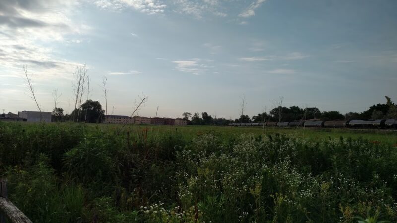 Chicago Ridge Prairie Walk - Chicago Ridge, IL