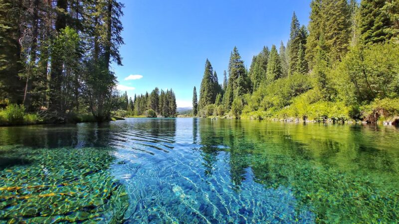 Jackson F. Kimball State Recreation Site - Chiloquin, OR