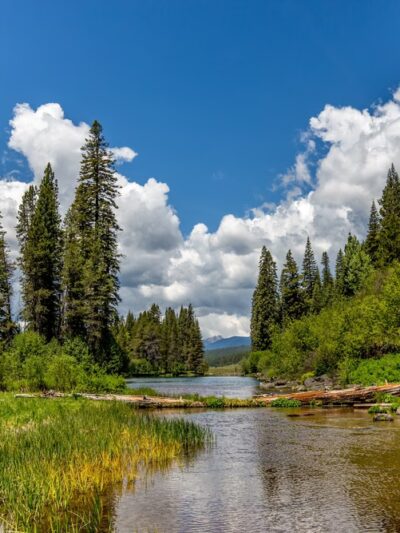 Jackson F. Kimball State Recreation Site - Chiloquin, OR