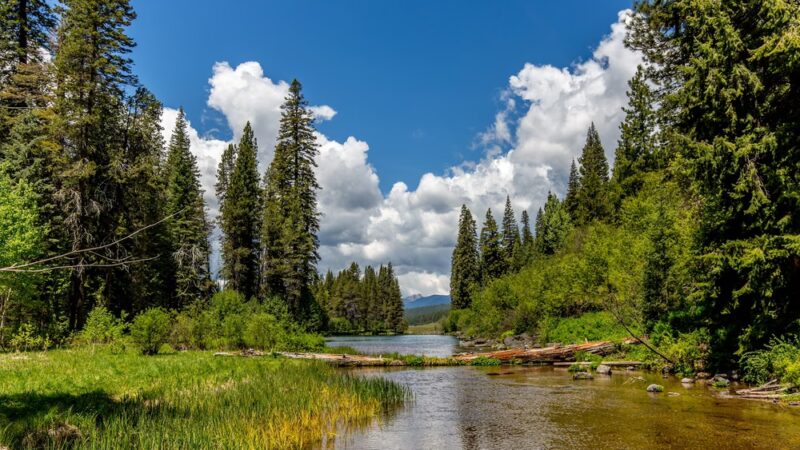Jackson F. Kimball State Recreation Site - Chiloquin, OR
