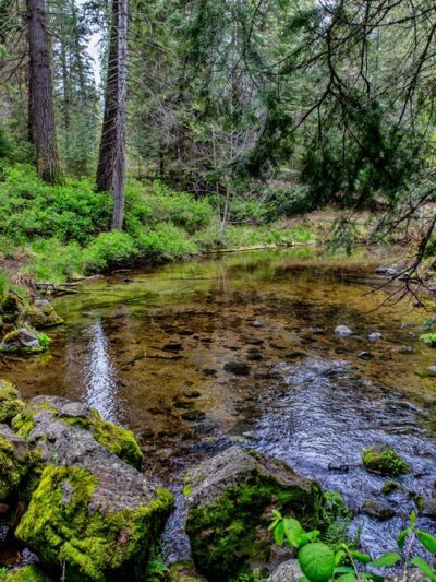 Jackson F. Kimball State Recreation Site - Chiloquin, OR