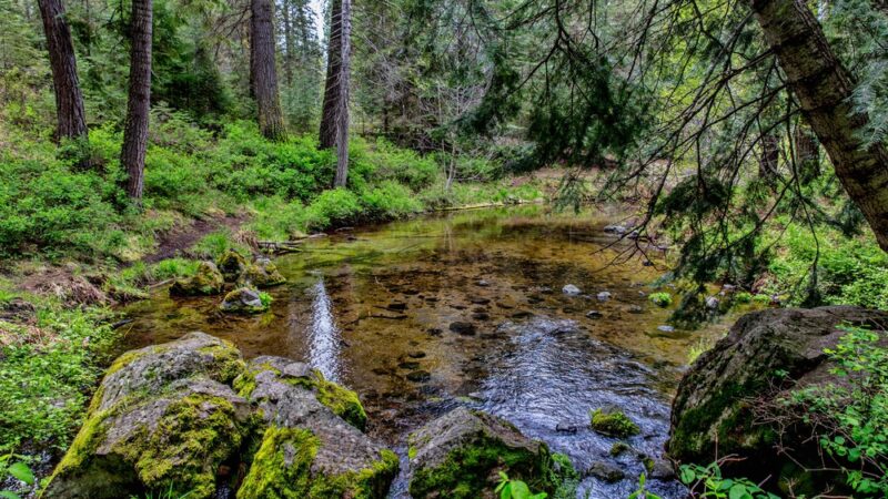 Jackson F. Kimball State Recreation Site - Chiloquin, OR