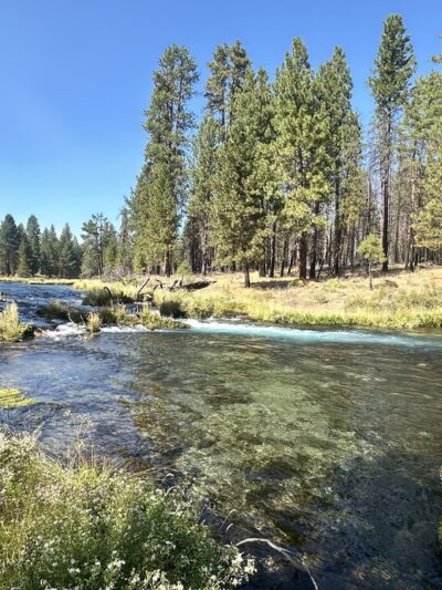 Collier Memorial State Park - Chiloquin, OR