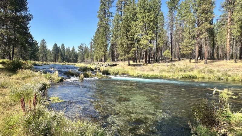 Collier Memorial State Park - Chiloquin, OR