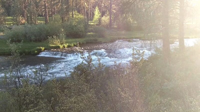 Collier Memorial State Park - Chiloquin, OR