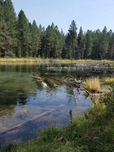 Collier Memorial State Park - Chiloquin, OR