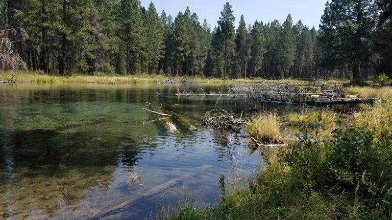 Collier Memorial State Park - Chiloquin, OR